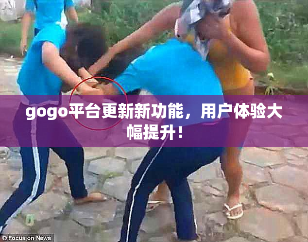 gogo平台更新新功能，用户体验大幅提升！