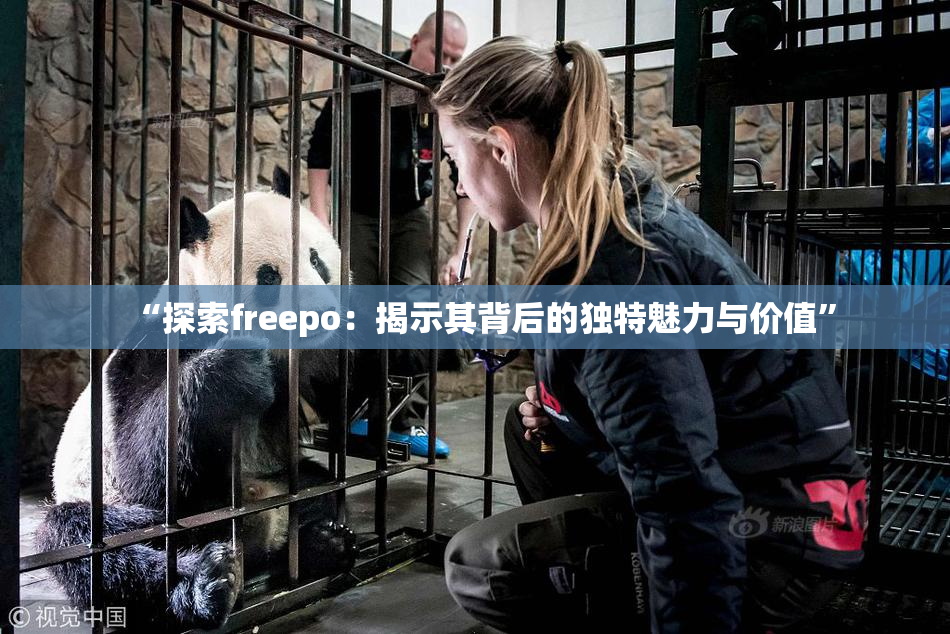 “探索freepo：揭示其背后的独特魅力与价值”