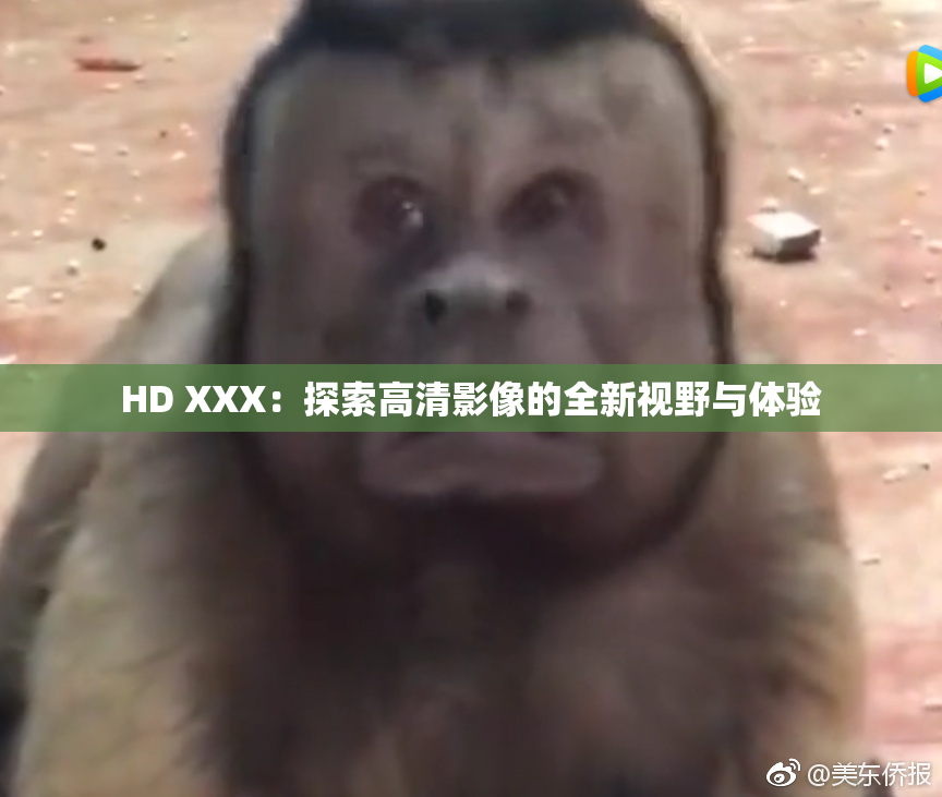 HD XXX：探索高清影像的全新视野与体验