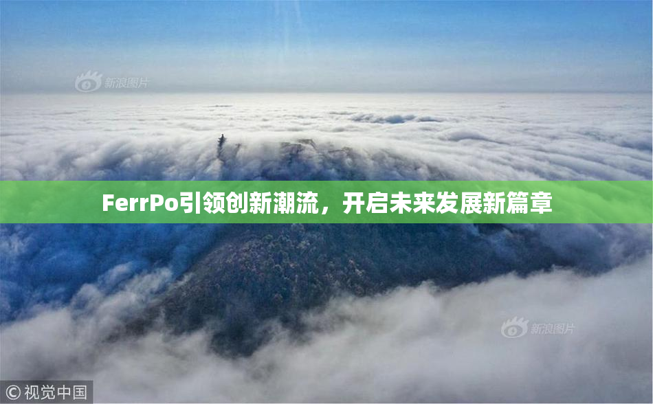 FerrPo引领创新潮流，开启未来发展新篇章