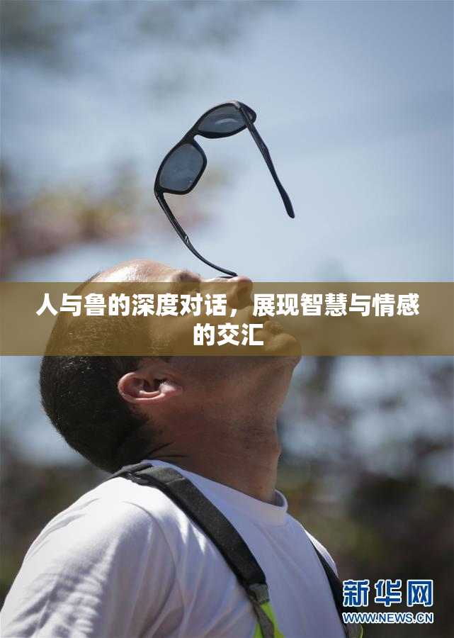 人与鲁的深度对话，展现智慧与情感的交汇