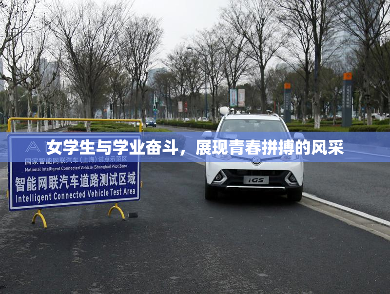 女学生与学业奋斗，展现青春拼搏的风采