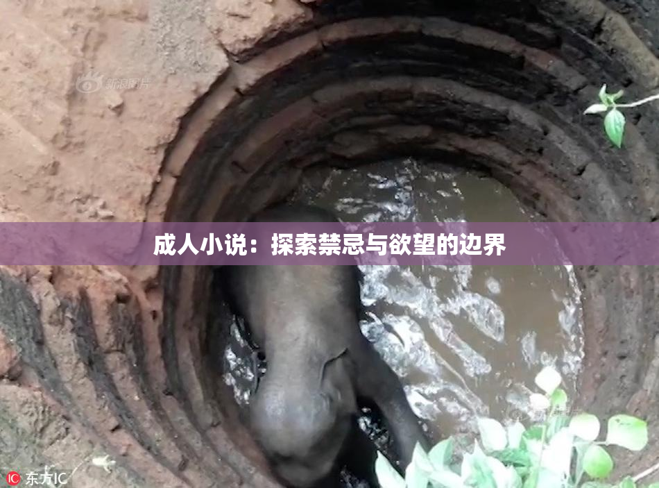 成人小说：探索禁忌与欲望的边界