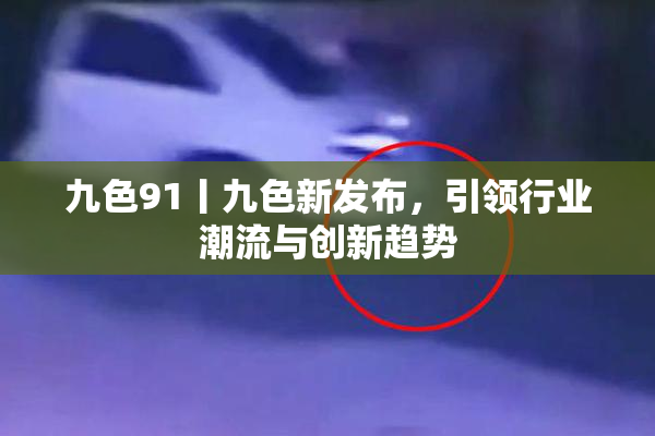九色91丨九色新发布，引领行业潮流与创新趋势