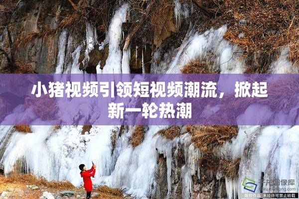 小猪视频引领短视频潮流，掀起新一轮热潮