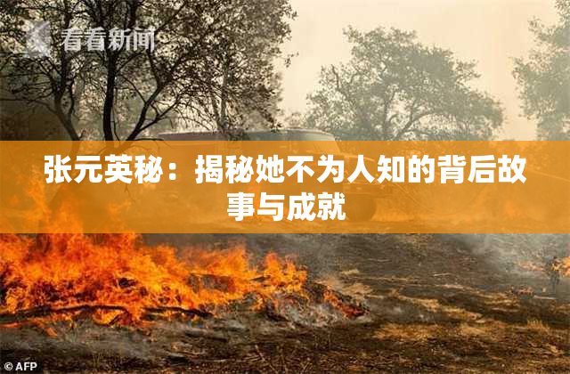 张元英秘：揭秘她不为人知的背后故事与成就