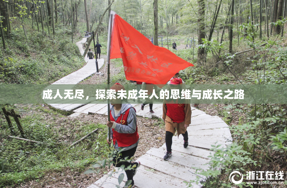 成人无尽，探索未成年人的思维与成长之路