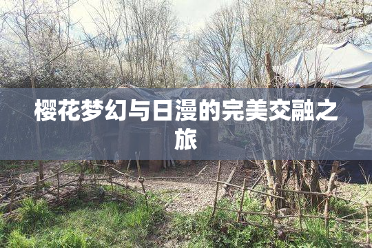 樱花梦幻与日漫的完美交融之旅