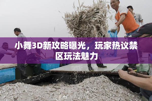 小舞3D新攻略曝光，玩家热议禁区玩法魅力