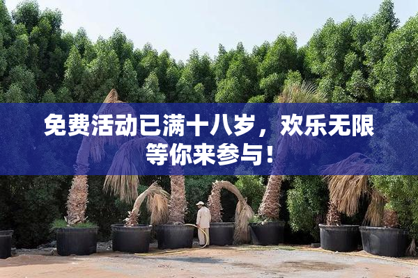 免费活动已满十八岁，欢乐无限等你来参与！