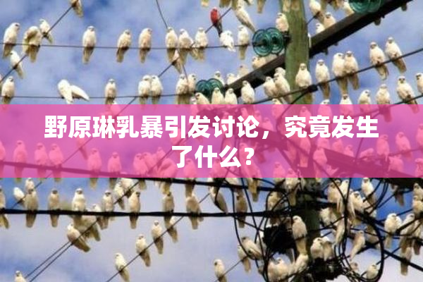野原琳乳暴引发讨论，究竟发生了什么？