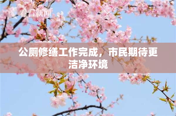 公厕修缮工作完成，市民期待更洁净环境