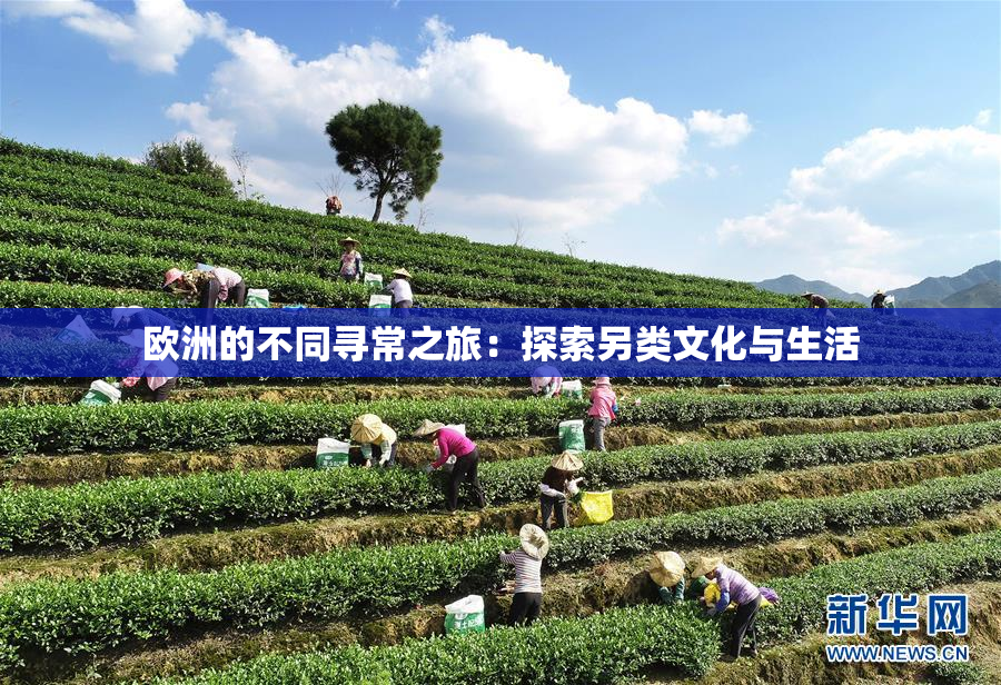 欧洲的不同寻常之旅：探索另类文化与生活