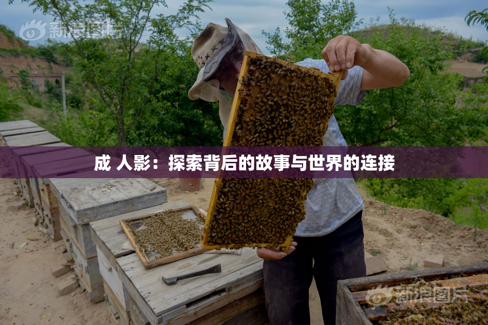 成 人影：探索背后的故事与世界的连接