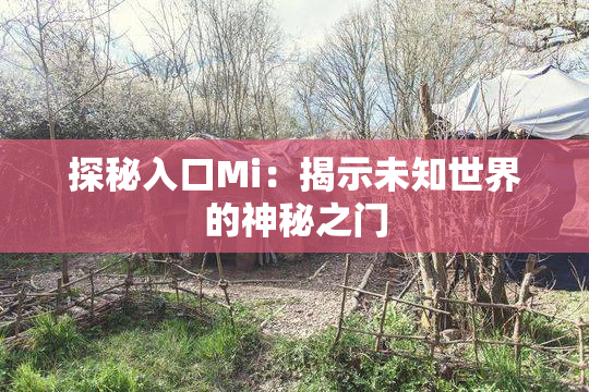 探秘入口Mi：揭示未知世界的神秘之门