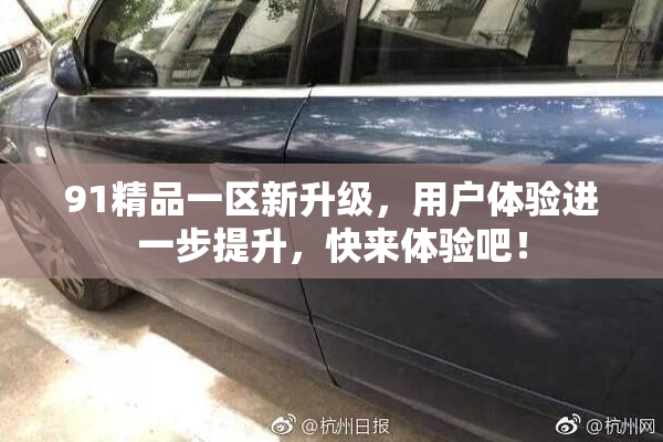 91精品一区新升级，用户体验进一步提升，快来体验吧！