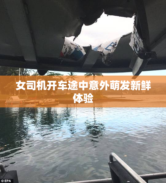 女司机开车途中意外萌发新鲜体验