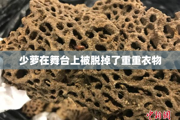 少萝在舞台上被脱掉了重重衣物