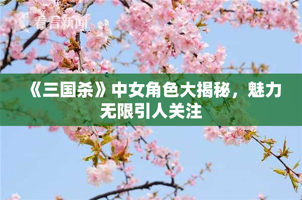 《三国杀》中女角色大揭秘，魅力无限引人关注
