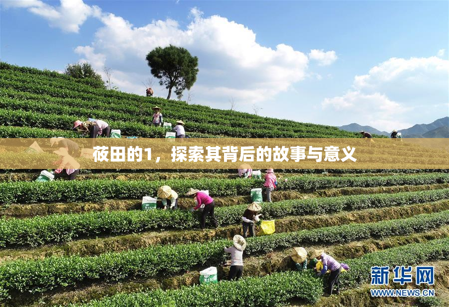莜田的1，探索其背后的故事与意义