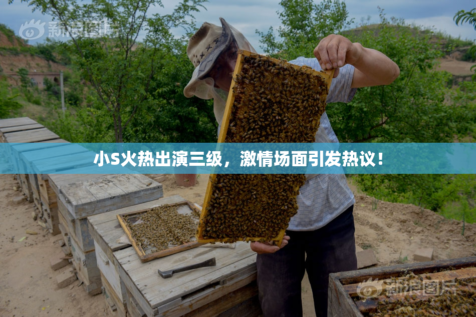 小S火热出演三级，激情场面引发热议！