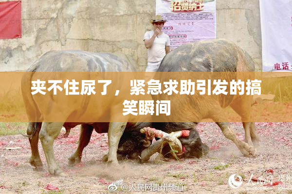 夹不住尿了，紧急求助引发的搞笑瞬间