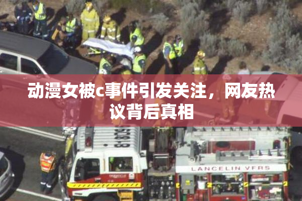 动漫女被c事件引发关注，网友热议背后真相