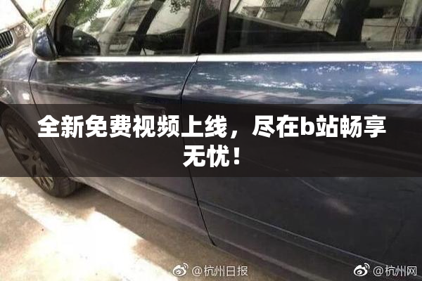 全新免费视频上线，尽在b站畅享无忧！