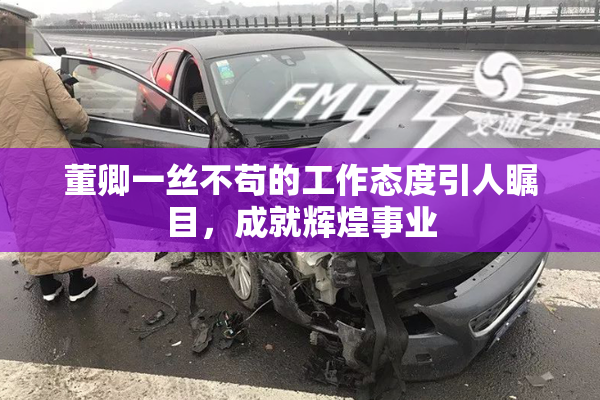 董卿一丝不苟的工作态度引人瞩目，成就辉煌事业