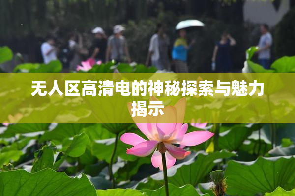 无人区高清电的神秘探索与魅力揭示