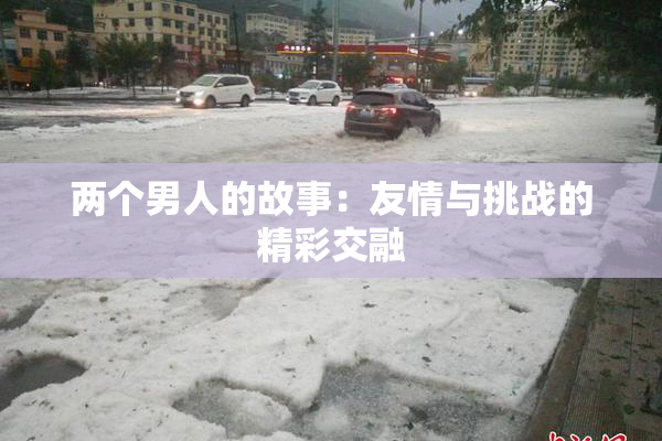 两个男人的故事：友情与挑战的精彩交融