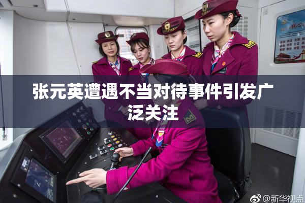 张元英遭遇不当对待事件引发广泛关注