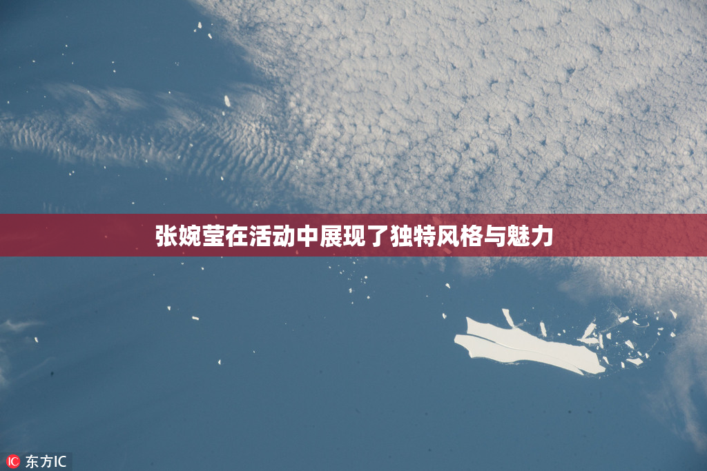 张婉莹在活动中展现了独特风格与魅力