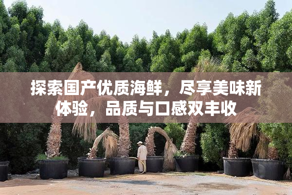 探索国产优质海鲜，尽享美味新体验，品质与口感双丰收