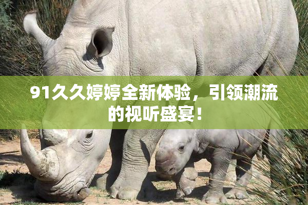 91久久婷婷全新体验，引领潮流的视听盛宴！