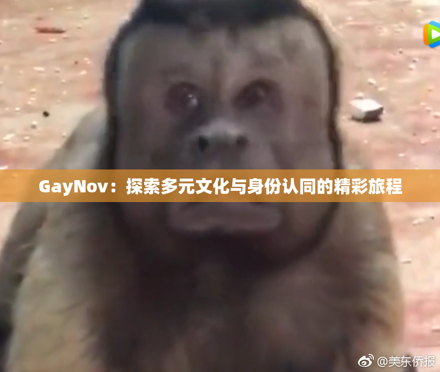 GayNov：探索多元文化与身份认同的精彩旅程