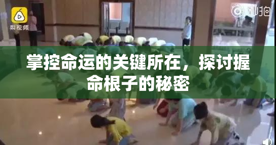 掌控命运的关键所在，探讨握命根子的秘密