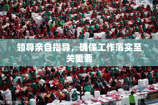 领导亲自指导，确保工作落实至关重要
