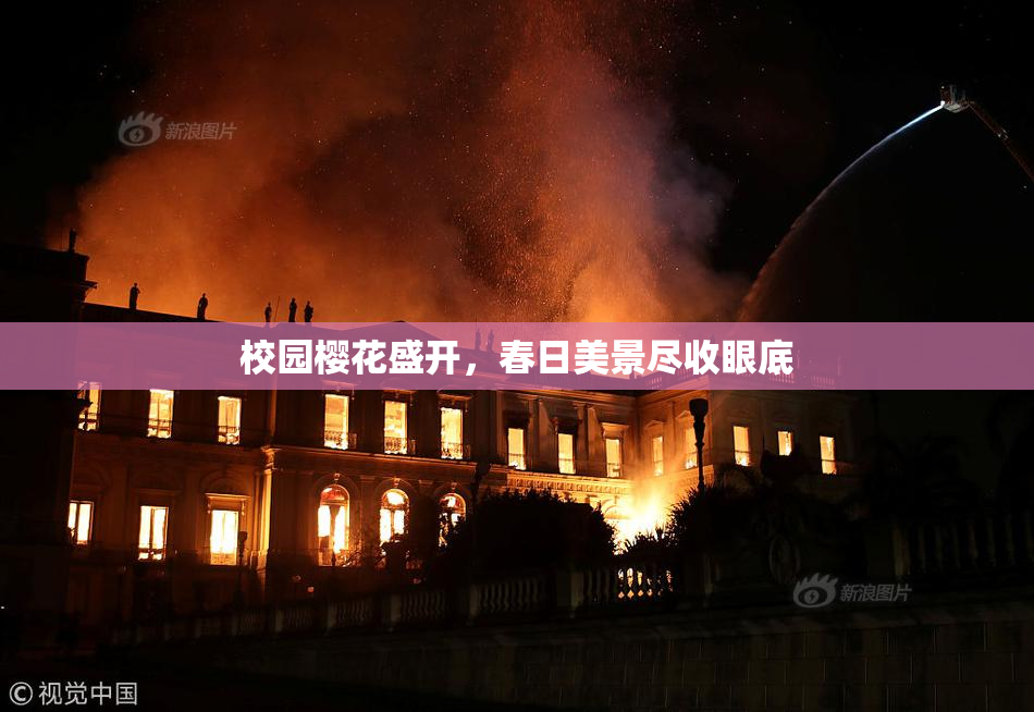 校园樱花盛开，春日美景尽收眼底