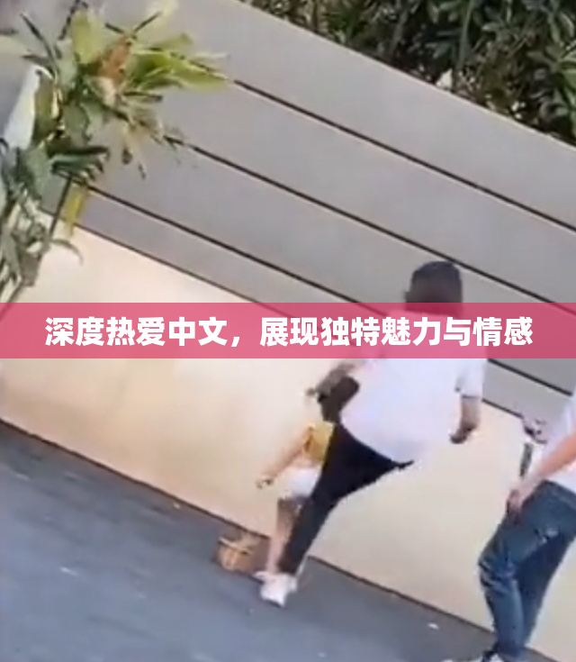 深度热爱中文，展现独特魅力与情感
