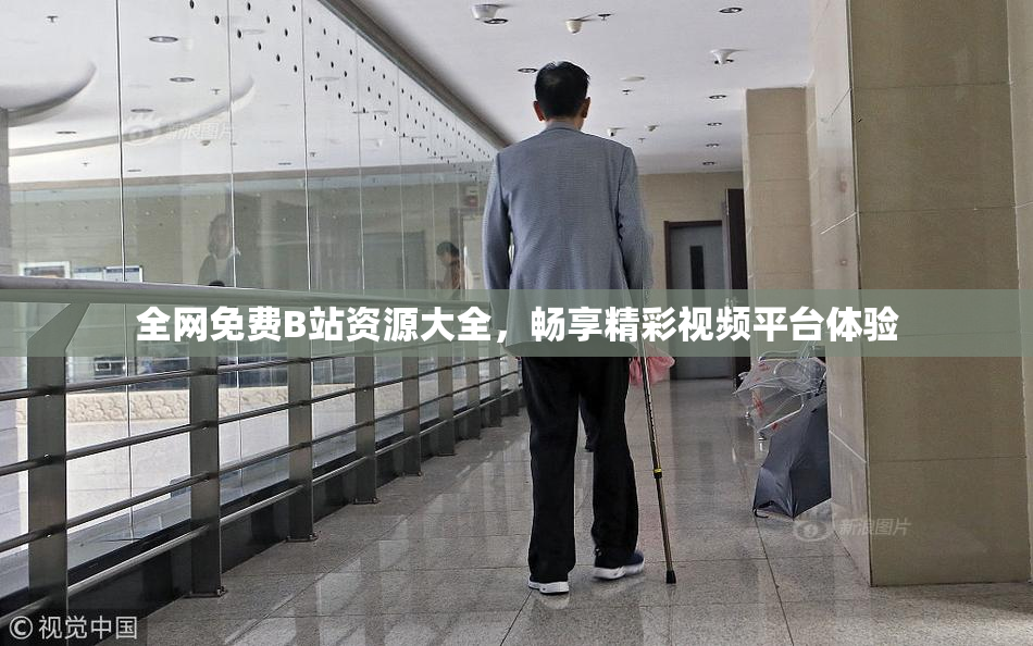 全网免费B站资源大全，畅享精彩视频平台体验