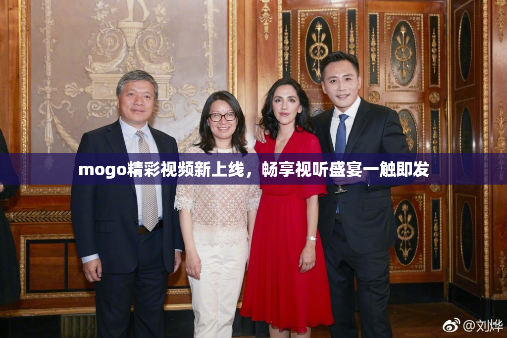 mogo精彩视频新上线，畅享视听盛宴一触即发