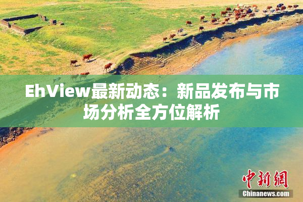 EhView最新动态：新品发布与市场分析全方位解析