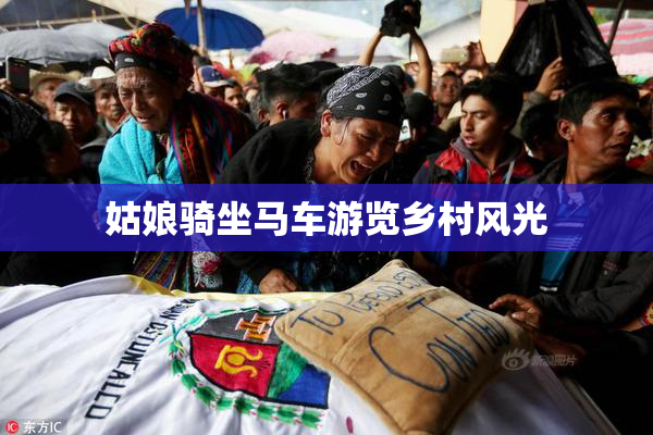 姑娘骑坐马车游览乡村风光