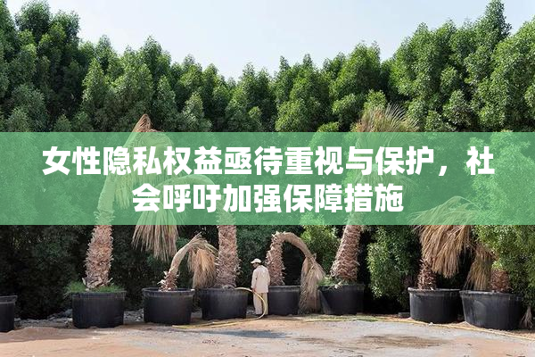 女性隐私权益亟待重视与保护，社会呼吁加强保障措施
