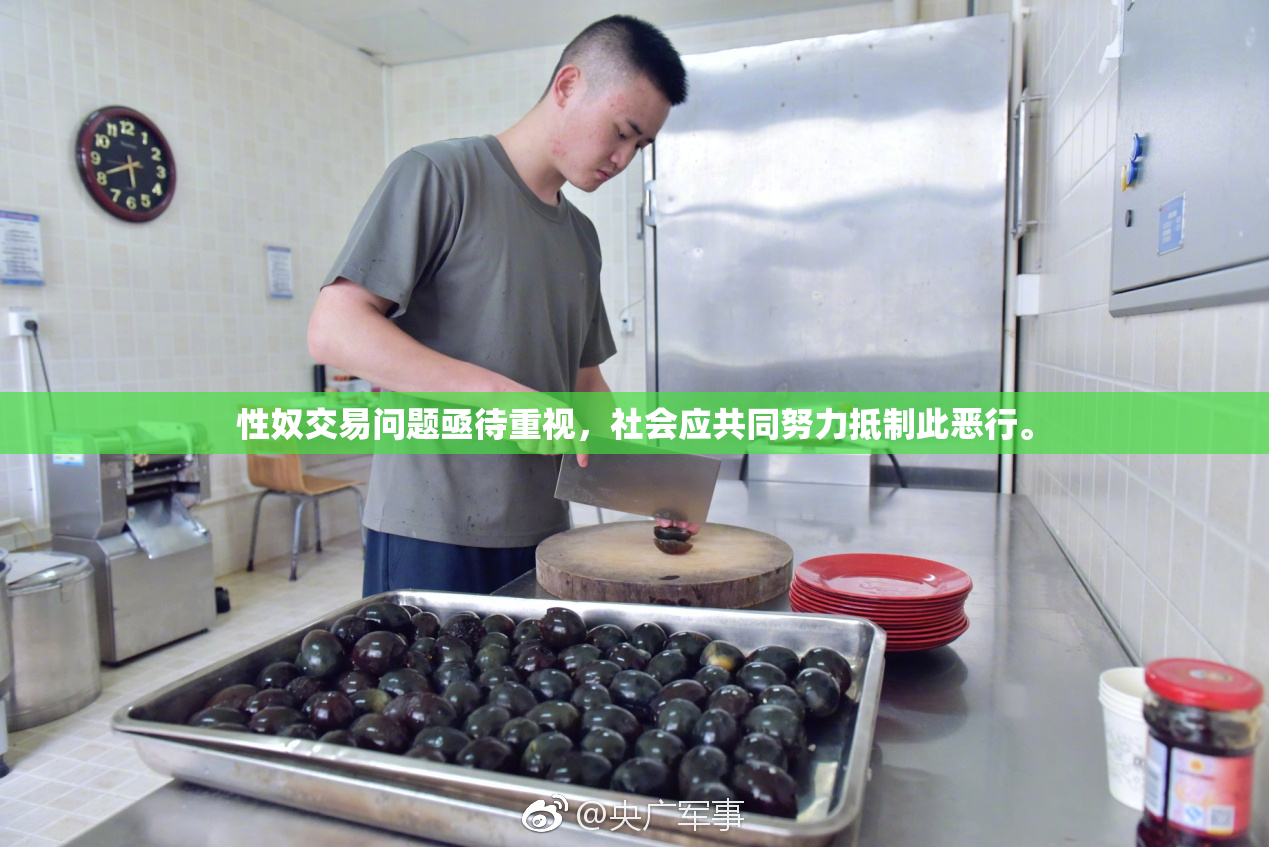 性奴交易问题亟待重视，社会应共同努力抵制此恶行。
