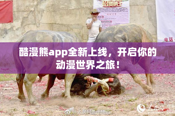 酷漫熊app全新上线，开启你的动漫世界之旅！