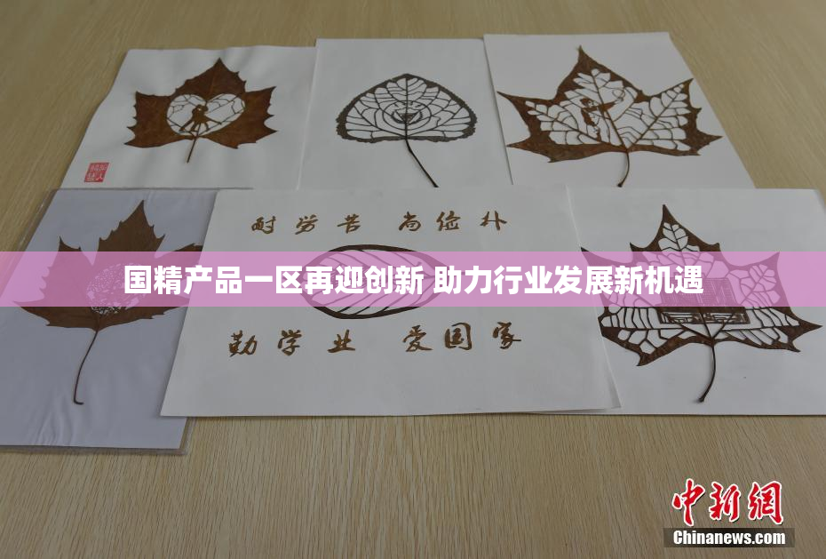 国精产品一区再迎创新 助力行业发展新机遇