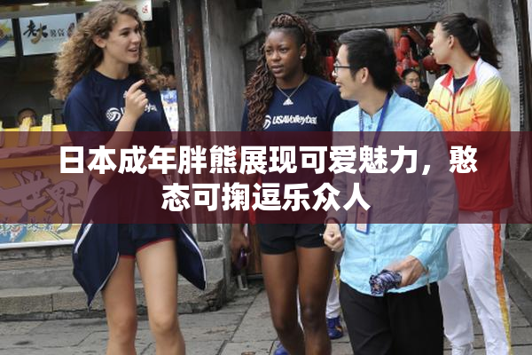 日本成年胖熊展现可爱魅力，憨态可掬逗乐众人