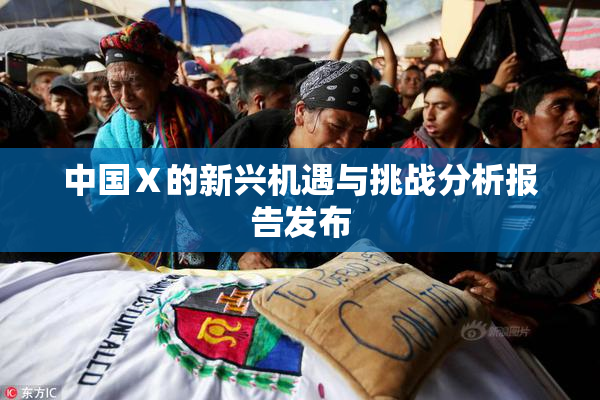 中国Ⅹ的新兴机遇与挑战分析报告发布
